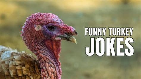 thanksgiving puns dirty|funny thanksgiving jokes for work.